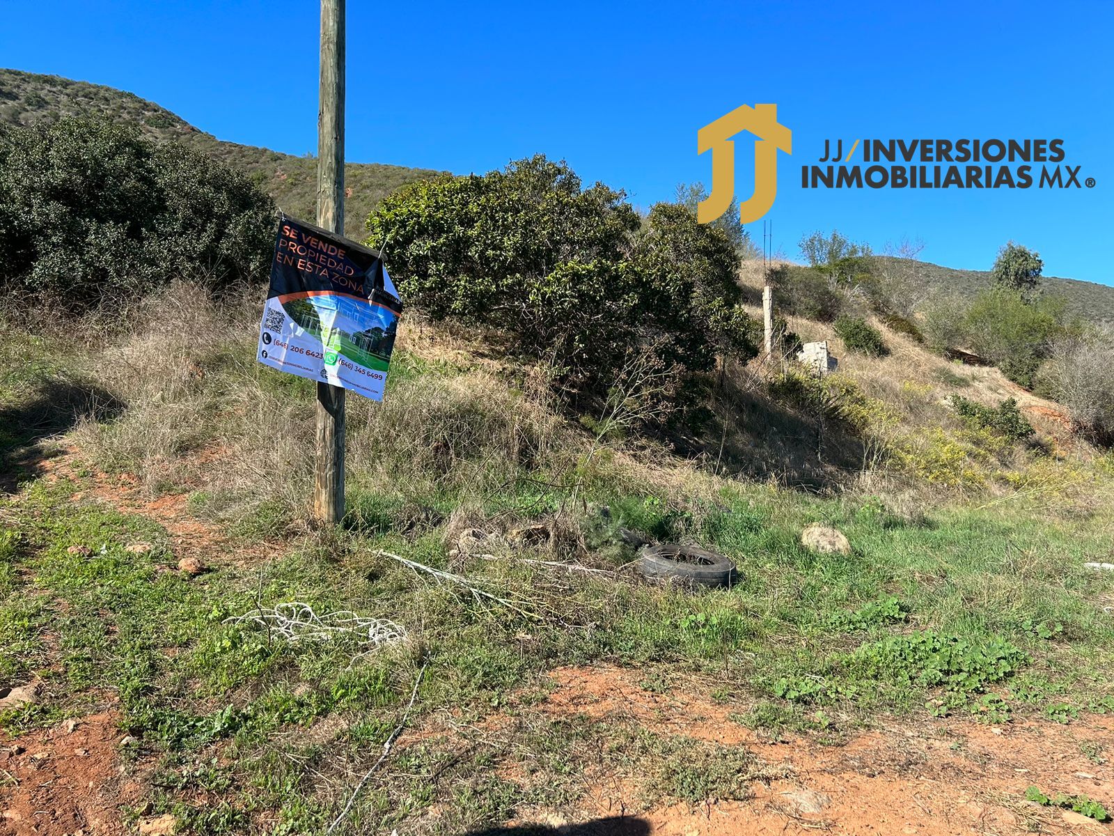 Imagen de WhatsApp 2023-10-19 a las 16.18.28_3b75a5d7