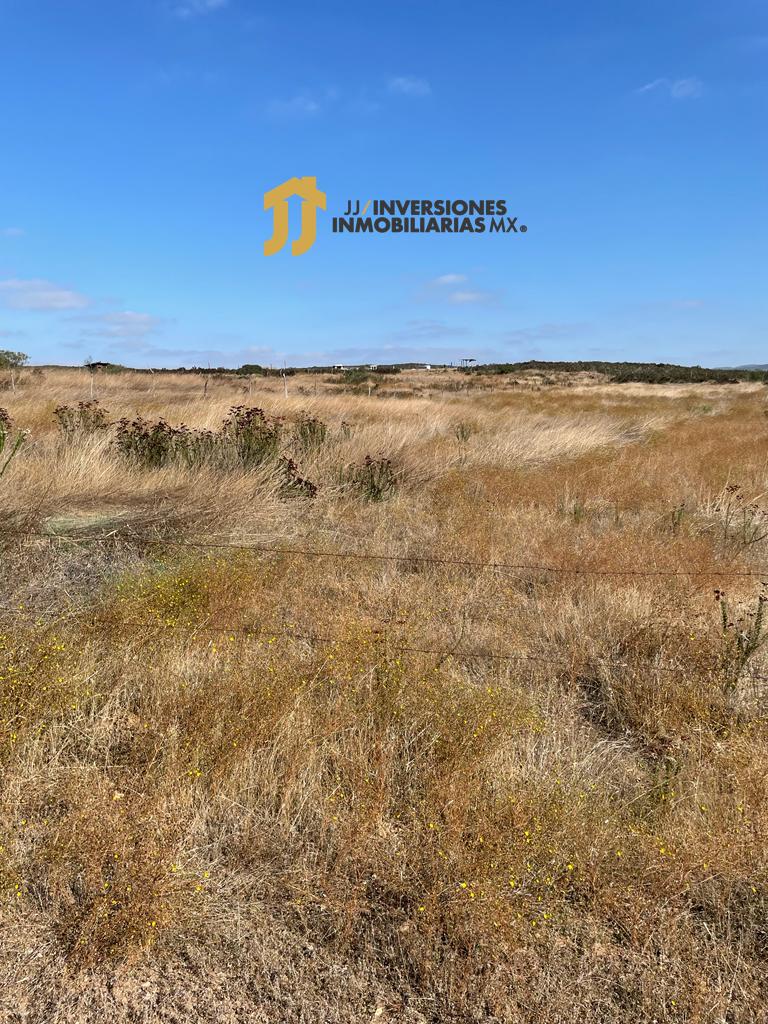 Imagen de WhatsApp 2023-11-24 a las 14.52.05_830070a2