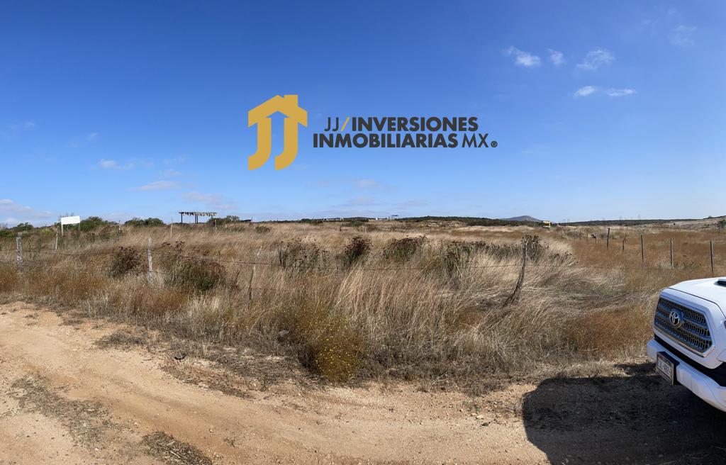 Imagen de WhatsApp 2023-11-24 a las 14.52.05_ce61f3d4