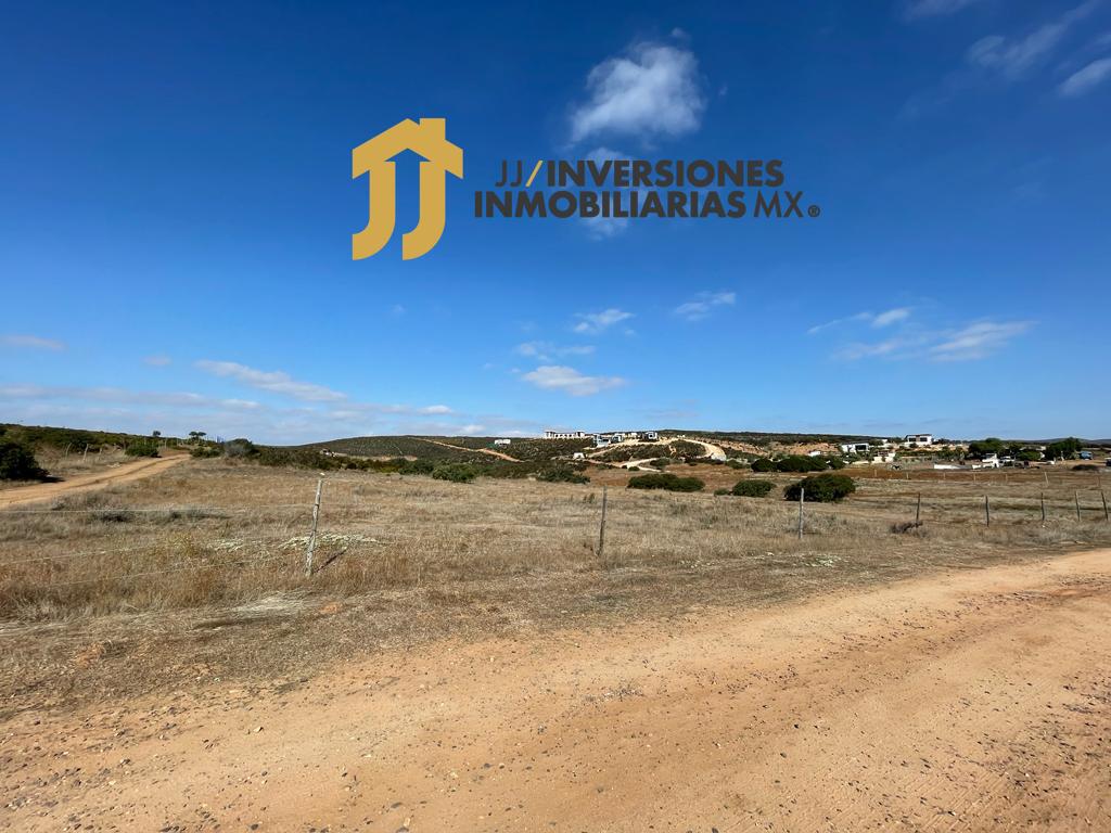 Imagen de WhatsApp 2023-11-24 a las 14.52.06_b7a26a98