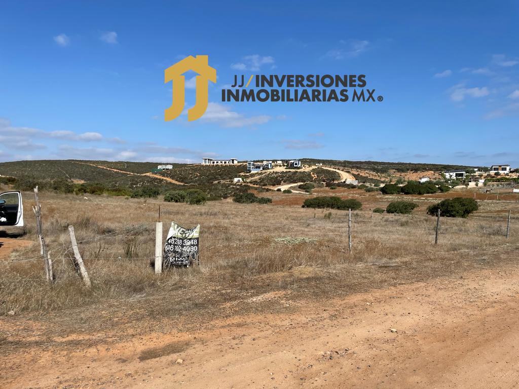 Imagen de WhatsApp 2023-11-24 a las 14.52.06_d7d4315e