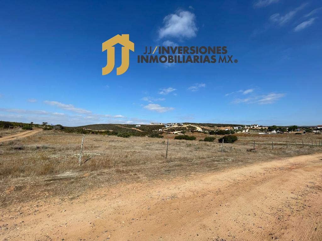 Imagen de WhatsApp 2023-11-24 a las 14.52.16_6bd8363d