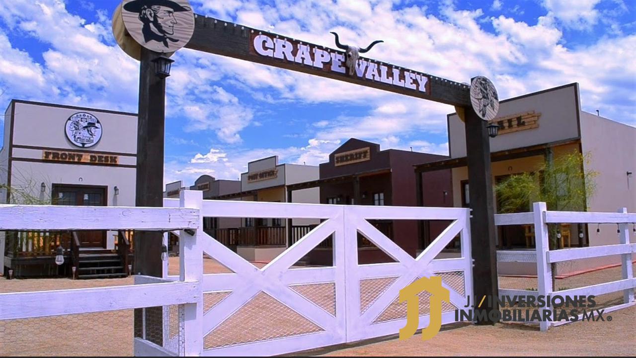 Imagen de WhatsApp 2024-02-27 a las 16.51.22_a8b4f1fe