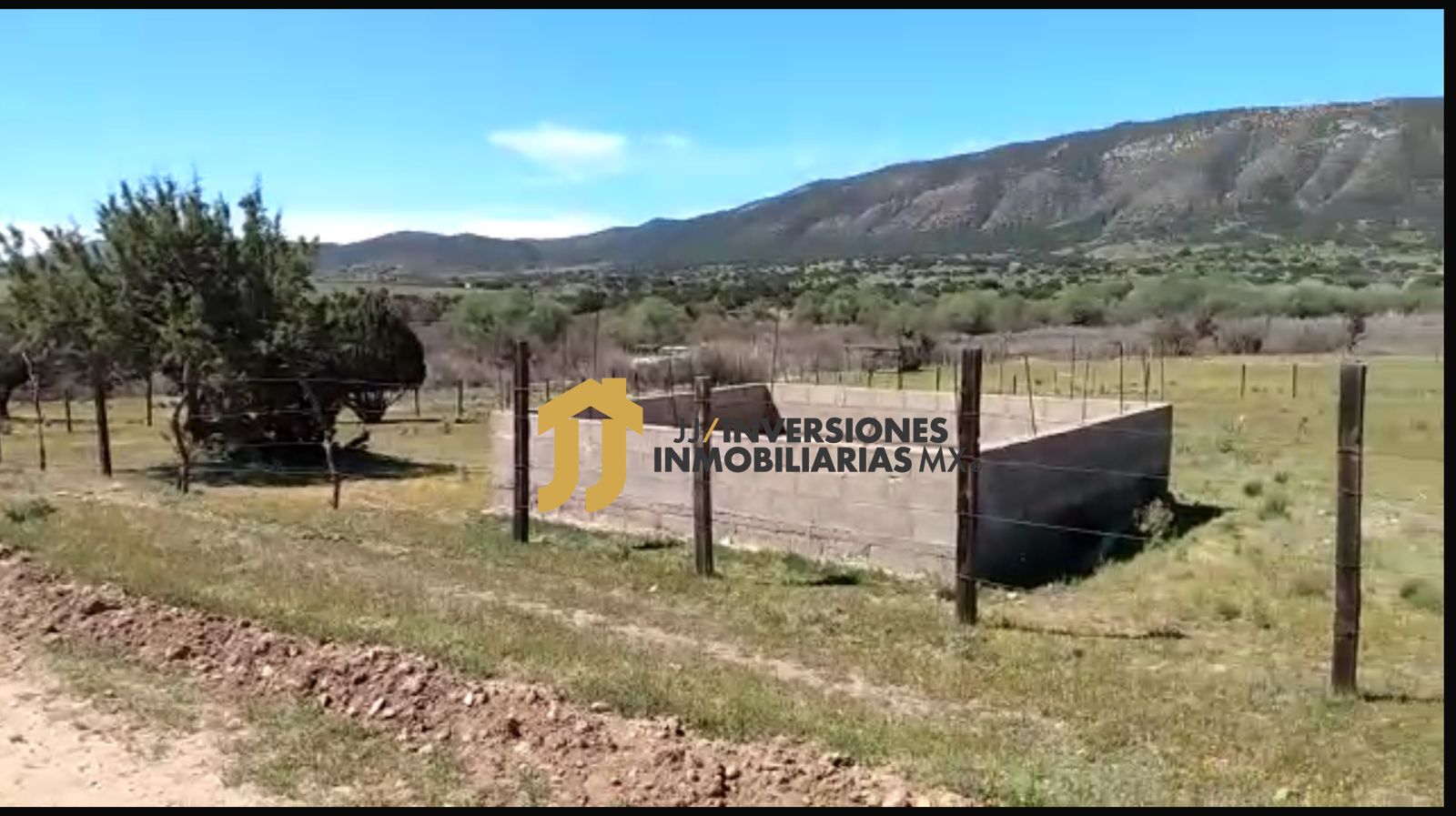 Imagen de WhatsApp 2024-11-25 a las 13.12.48_7b2812d3