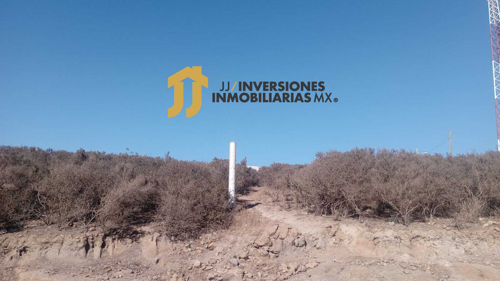 WhatsApp Image 2022-10-20 at 13.17.57 (2)