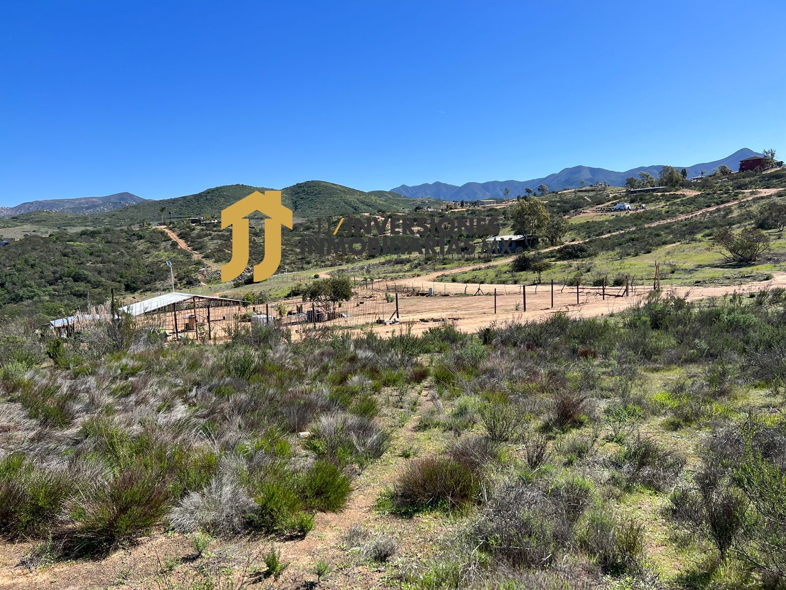 WhatsApp Image 2023-02-15 at 16.44.56