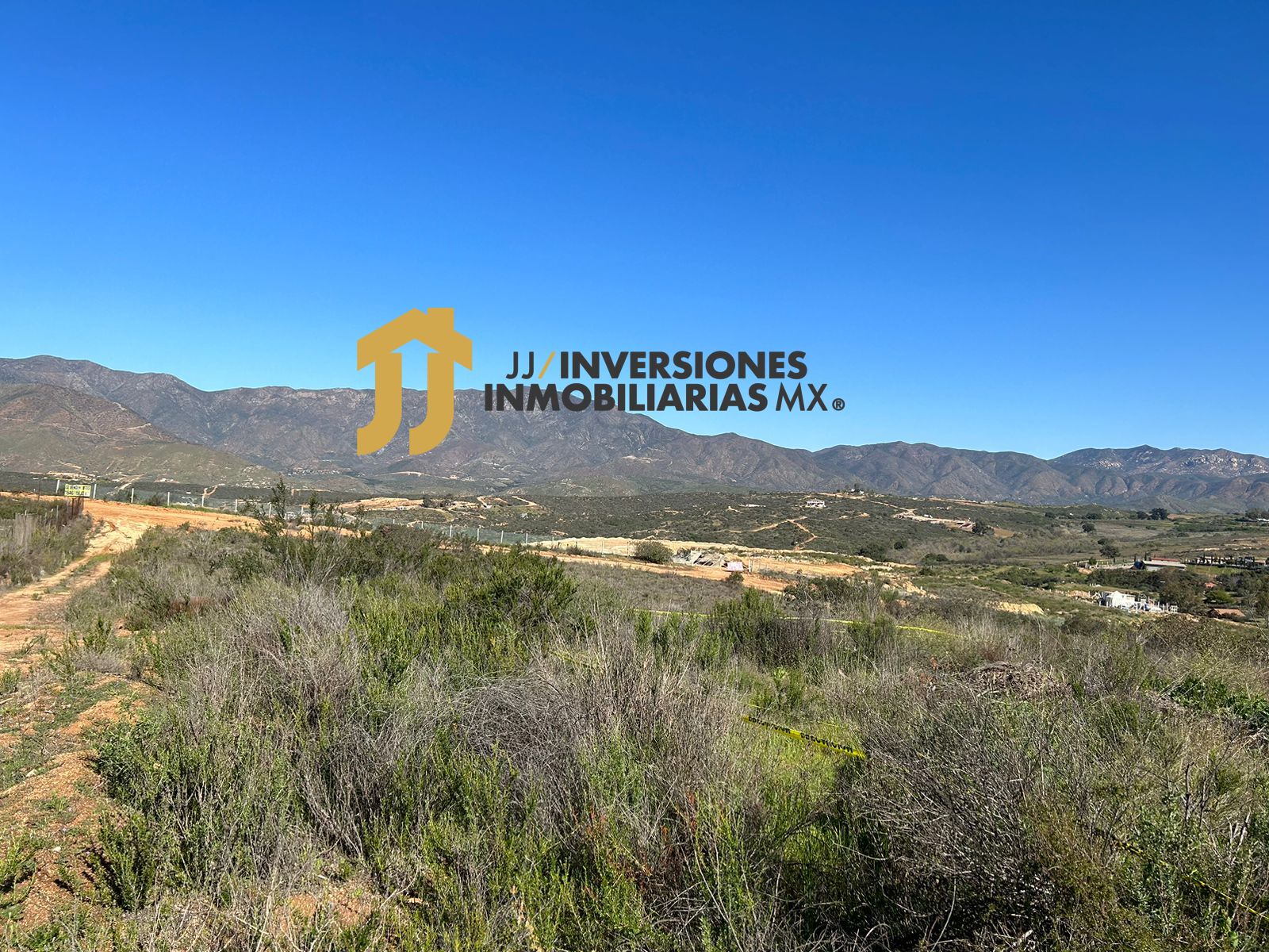 WhatsApp Image 2023-02-15 at 16.45.39