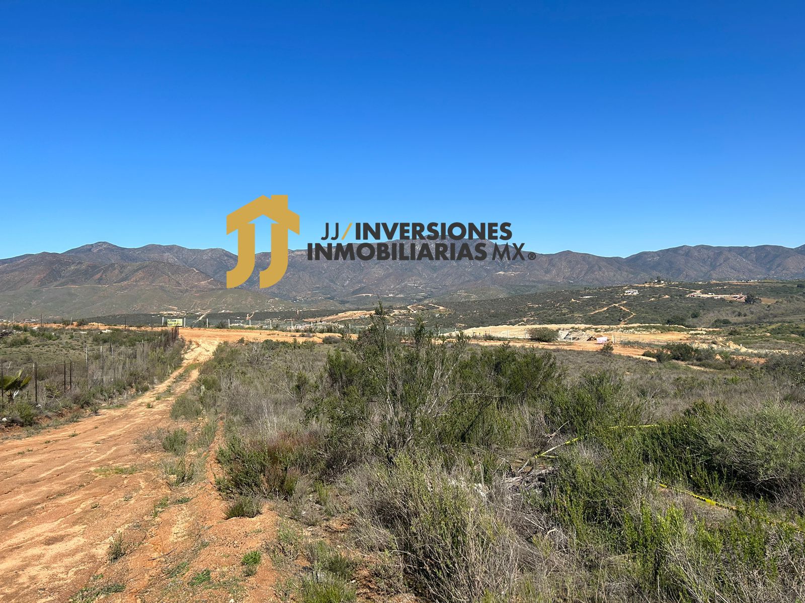 WhatsApp Image 2023-02-15 at 16.45.48 (1)