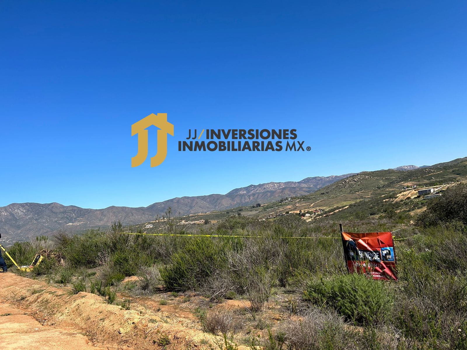 WhatsApp Image 2023-02-15 at 16.45.56