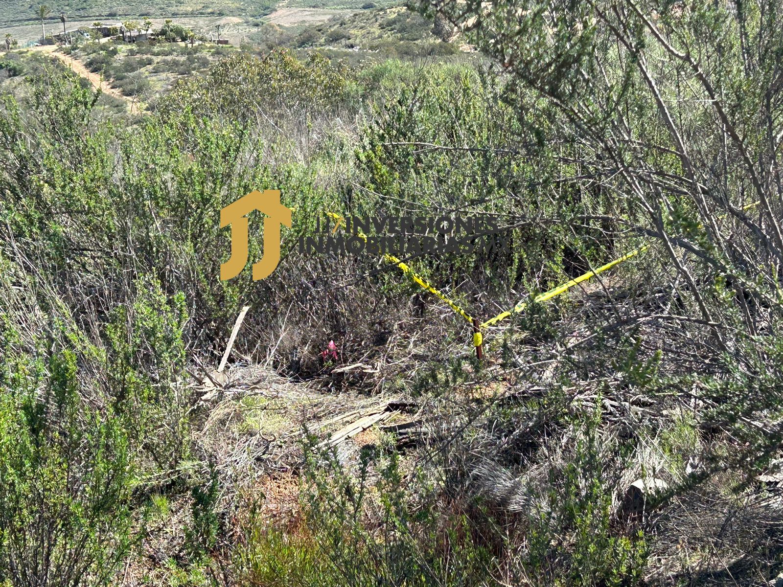 WhatsApp Image 2023-02-15 at 16.45.59