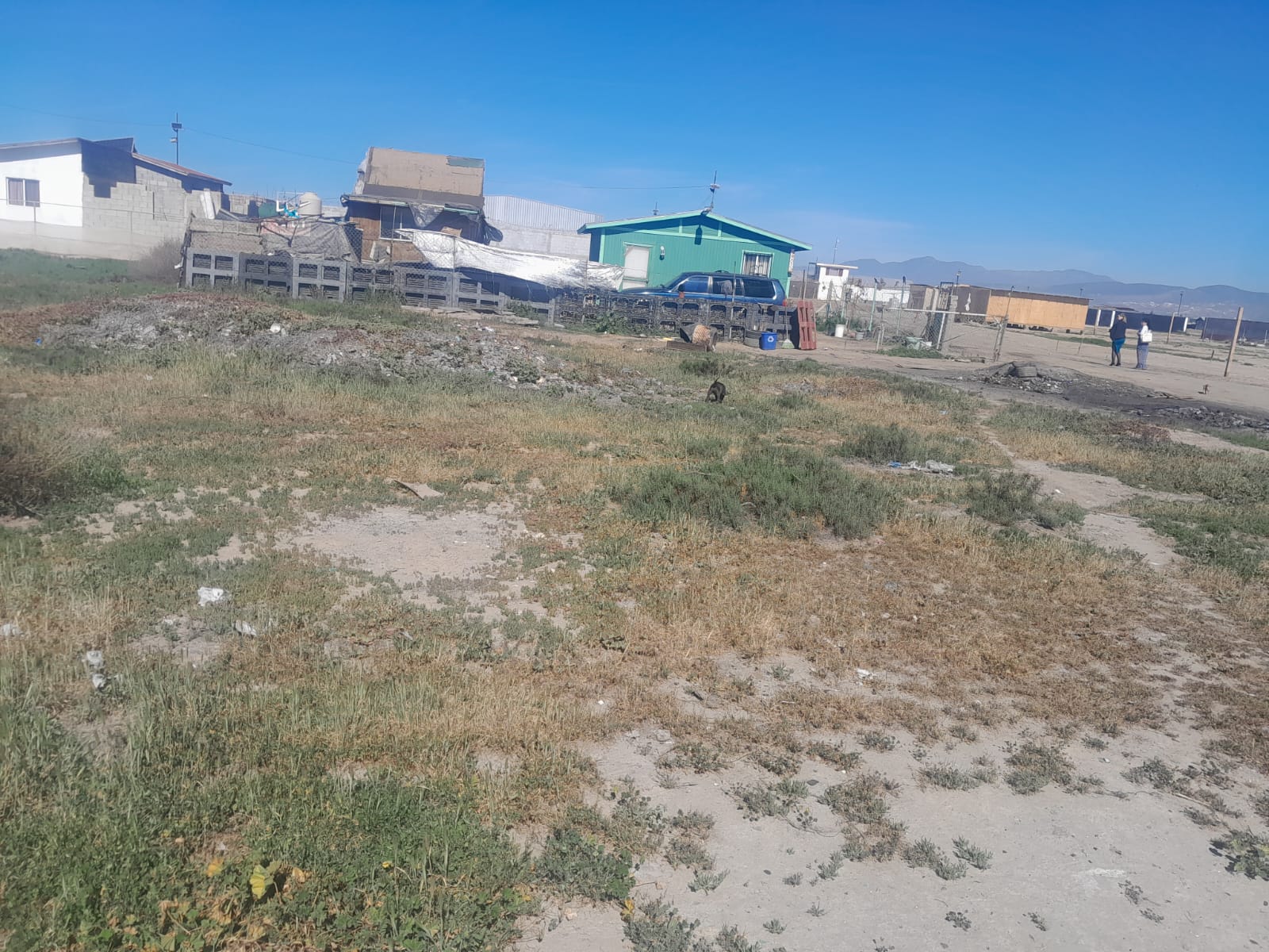 WhatsApp Image 2026-02-09 at 11.41.24