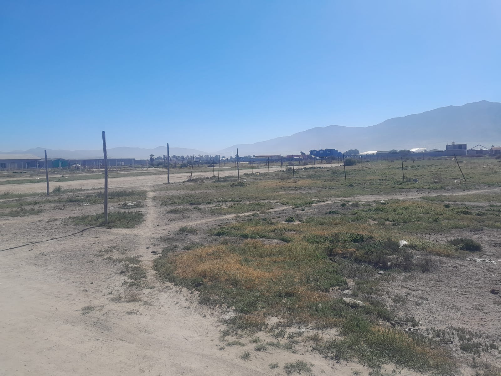 WhatsApp Image 2026-02-09 at 11.41.25 (1)