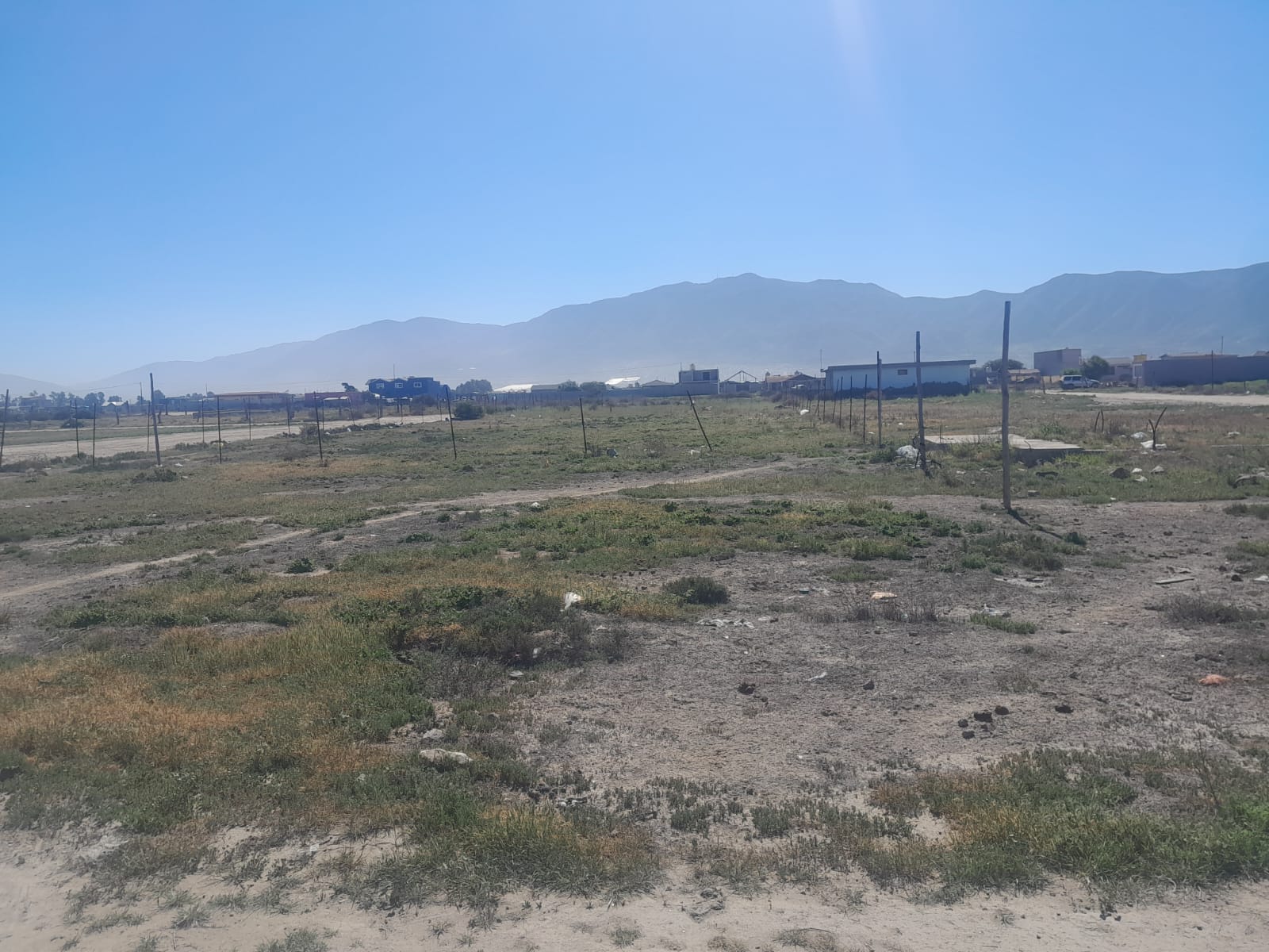 WhatsApp Image 2026-02-09 at 11.41.25 (2)