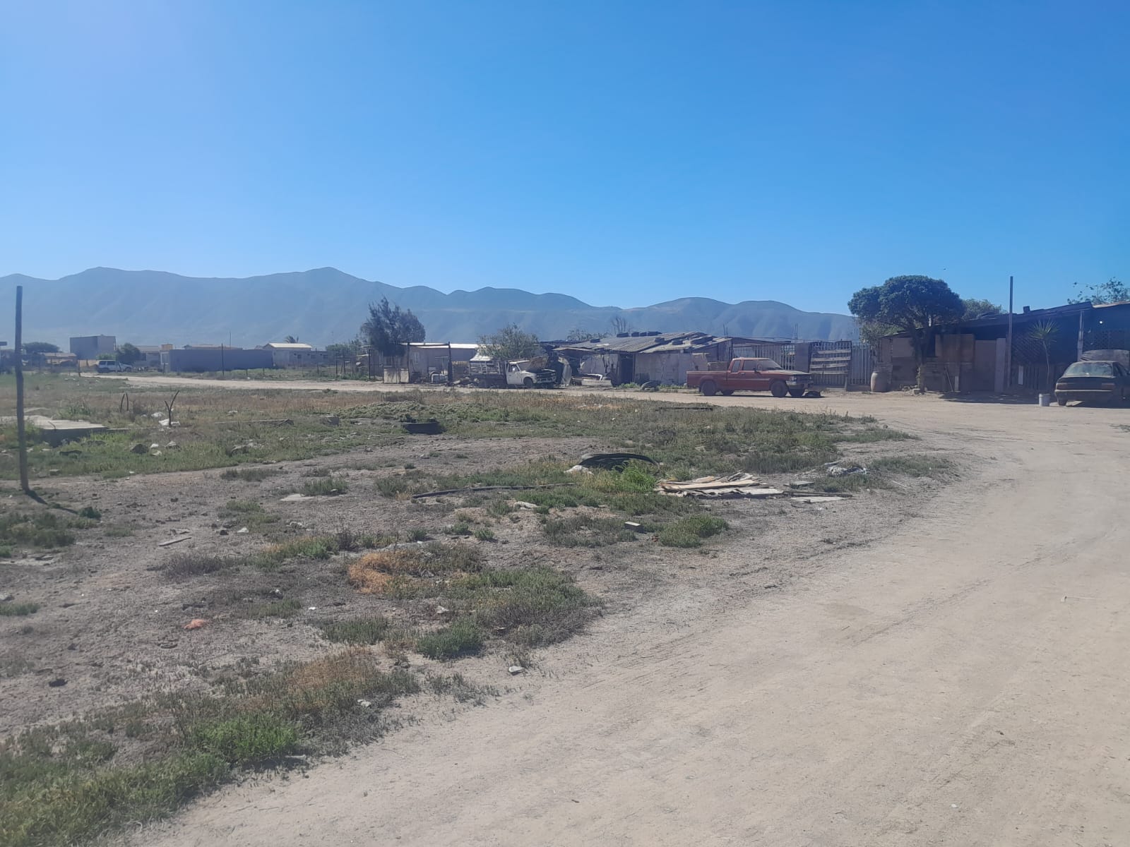 WhatsApp Image 2026-02-09 at 11.41.25 (3)