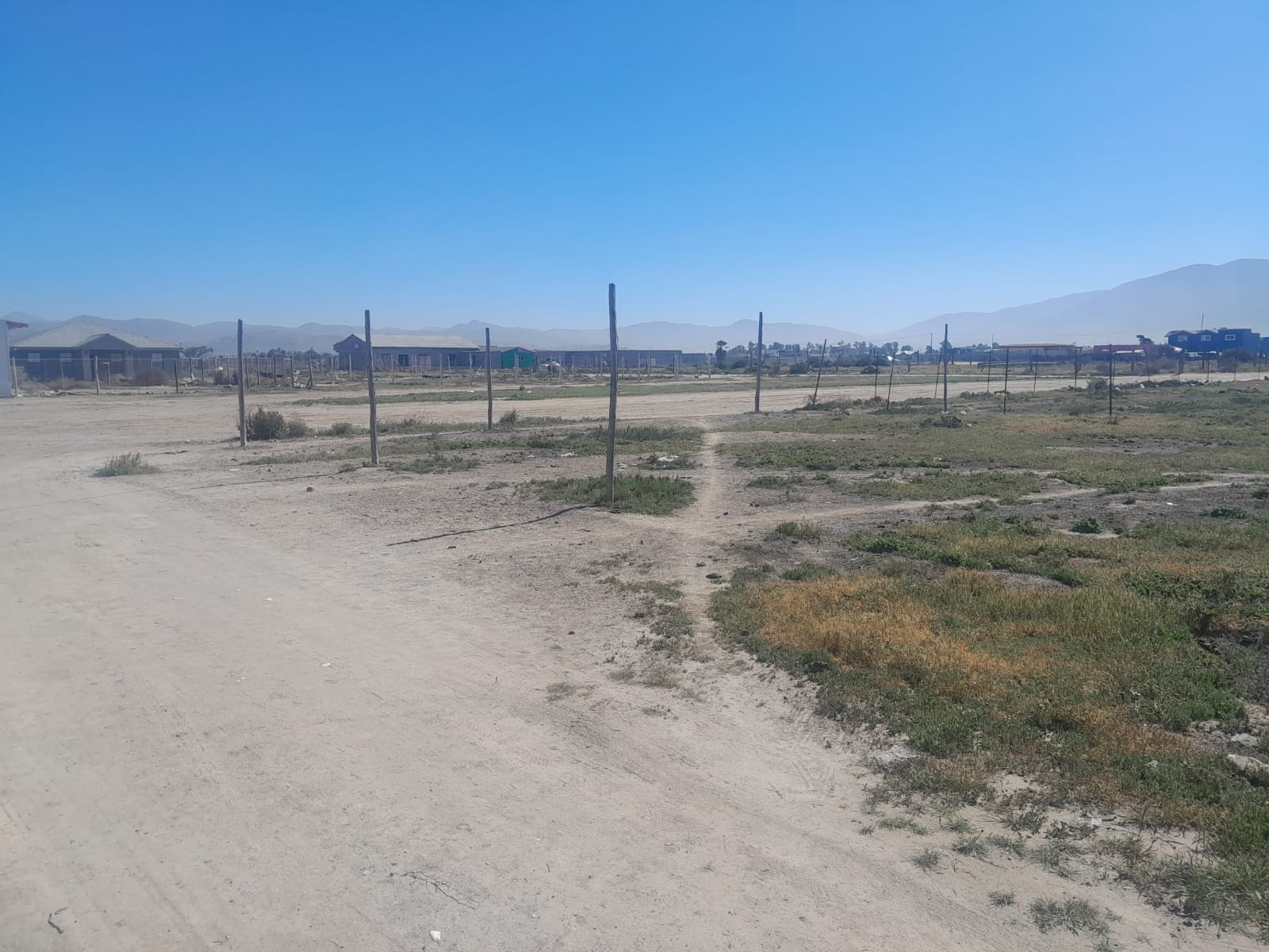 WhatsApp Image 2026-02-09 at 11.41.25