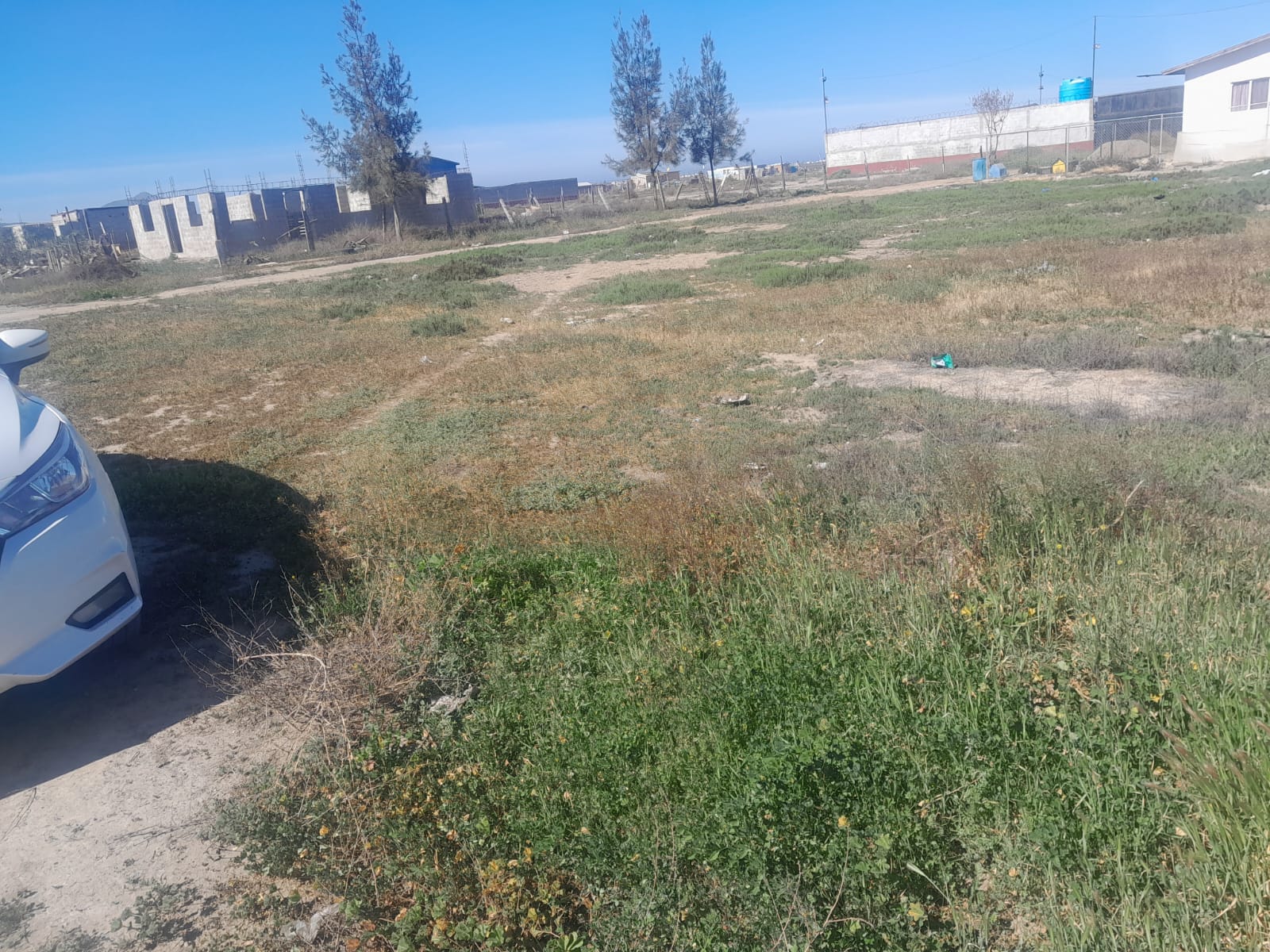 WhatsApp Image 2026-02-09 at 11.41.26