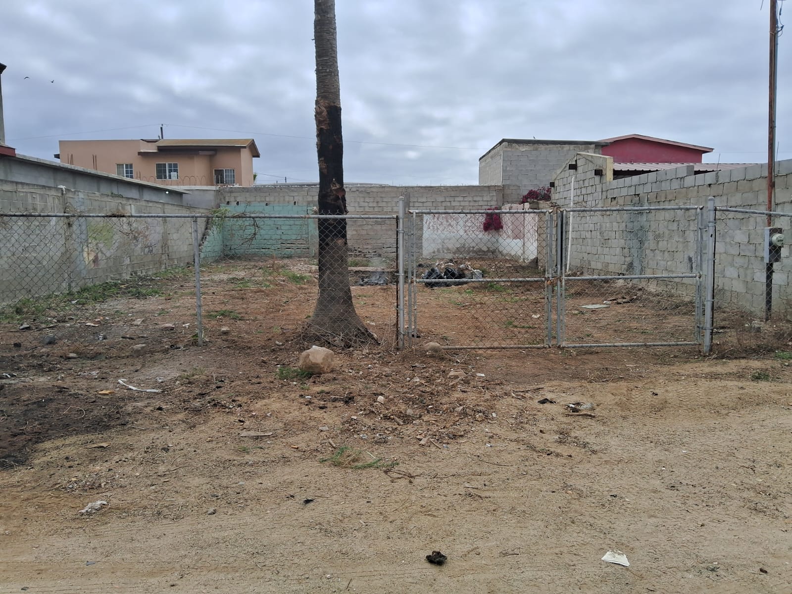 WhatsApp Image 2026-02-19 at 11.20.22 AM