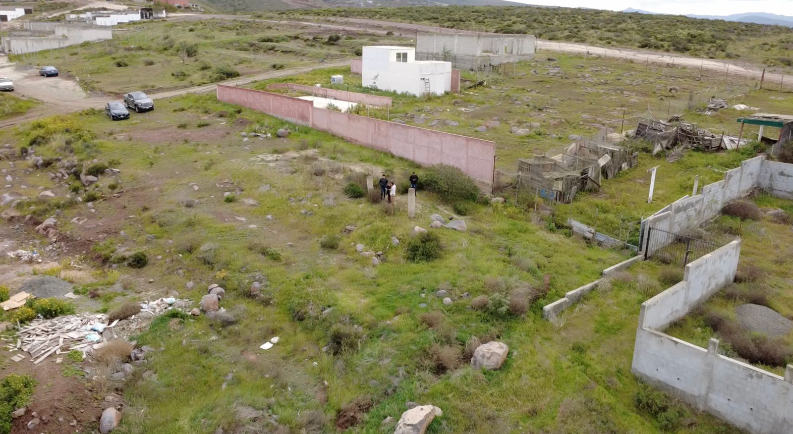 WhatsApp Image 2026-02-26 at 2.17.24 PM