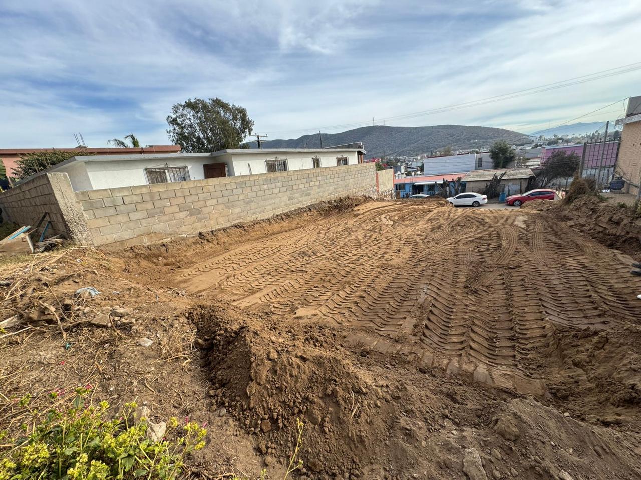 WhatsApp Image 2026-03-02 at 9.33.26 AM